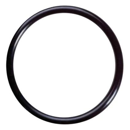 Anillo de goma